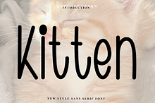 Kitten