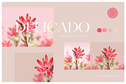 #2 Delicado. Branding & social media, a Presentation Template by StudioPhoto (Thumbnail 7 of 8)