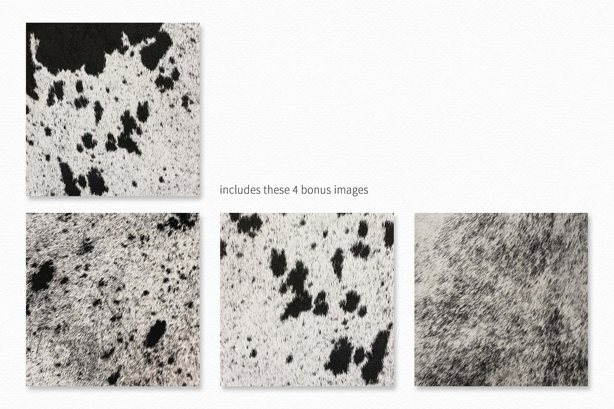 Nguni Hide Textures I, a Texture Graphic by rileyBgraphics (Photo 3 of 7)