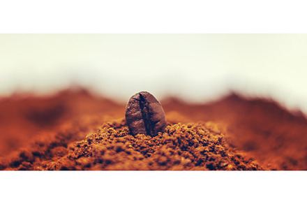Coffee beans roasted close-up. Drink, a Food & Drink Photo by yanadjana