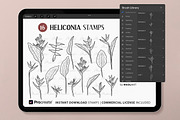 Heliconia Plant Procreate Stamps, a Brush Add-On by MadliArt (Thumbnail 2 of 5)