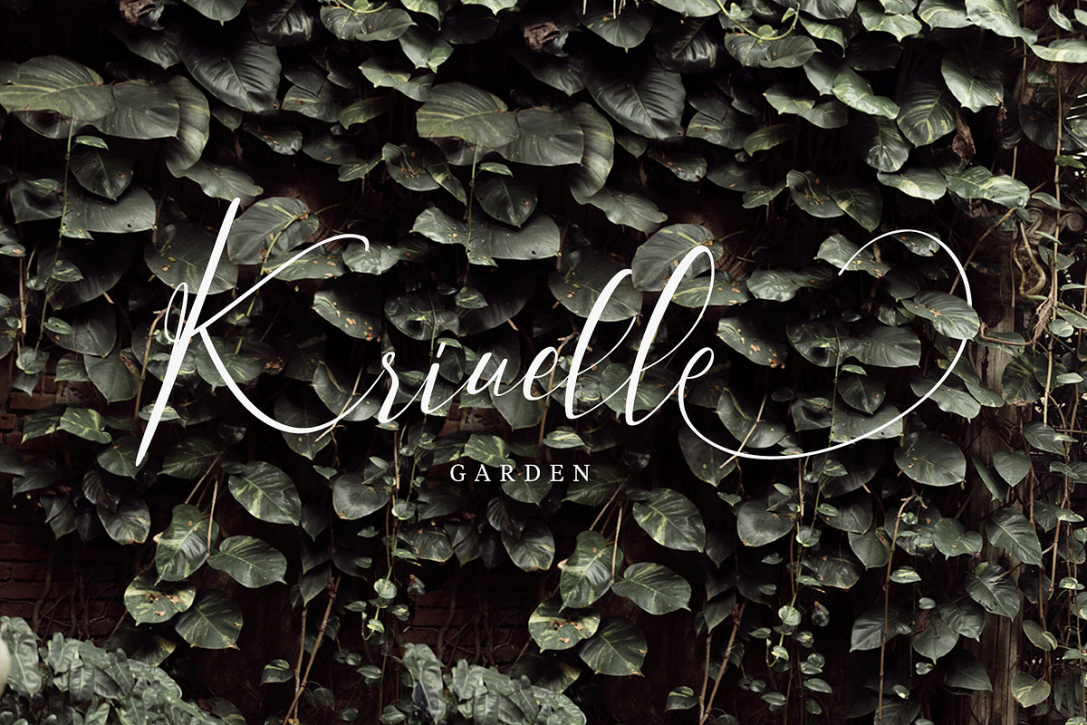 Milova | Modern Calligraphy font, a Script Font by creativemedialab (Photo 2 of 7)