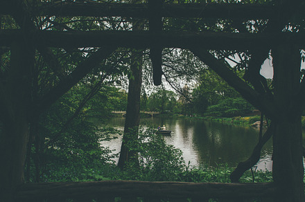 New york city central park featuring landscape, nature, and central park