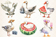 Silly Summer Goose Clipart, an Illustration by DreamCafeArt (Thumbnail 2 of 3)