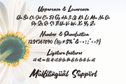 Stilda - Lovely Script Font, a Script Font by StringLabs (Thumbnail 11 of 11)