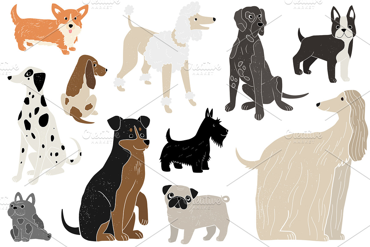Friends: 23 different dog breeds, an Animal Illustration by Mii Lab (Photo 4 of 13)