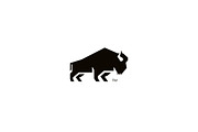 Bison Creative, a Branding & Logo Template by Flipside Design (Thumbnail 1 of 2)