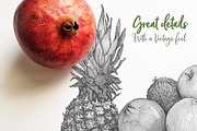 Fruits & Vegetables illustrations, a Graphic by StDamos (Thumbnail 4 of 7)