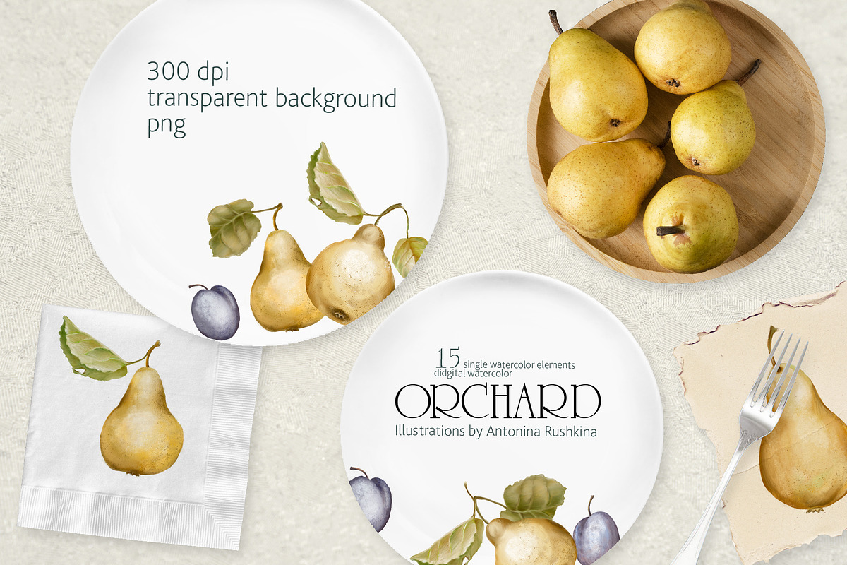 Orchard fruit. Pears and plums, an Illustration by RushkinaAntonina (Photo 2 of 4)
