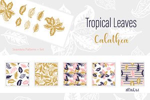 Tropical Leaves Patterns & Set
