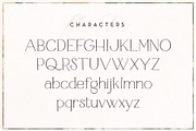 Rosemarie Dainty Serif, a Serif Font by Rachel Kick (Thumbnail 11 of 12)