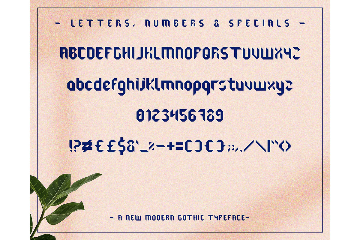 Baltik typeface - six fonts included preview 3