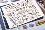 Floral Big Bundle, an Object Graphic by Lana Samokhina (Thumbnail 2 of 21)
