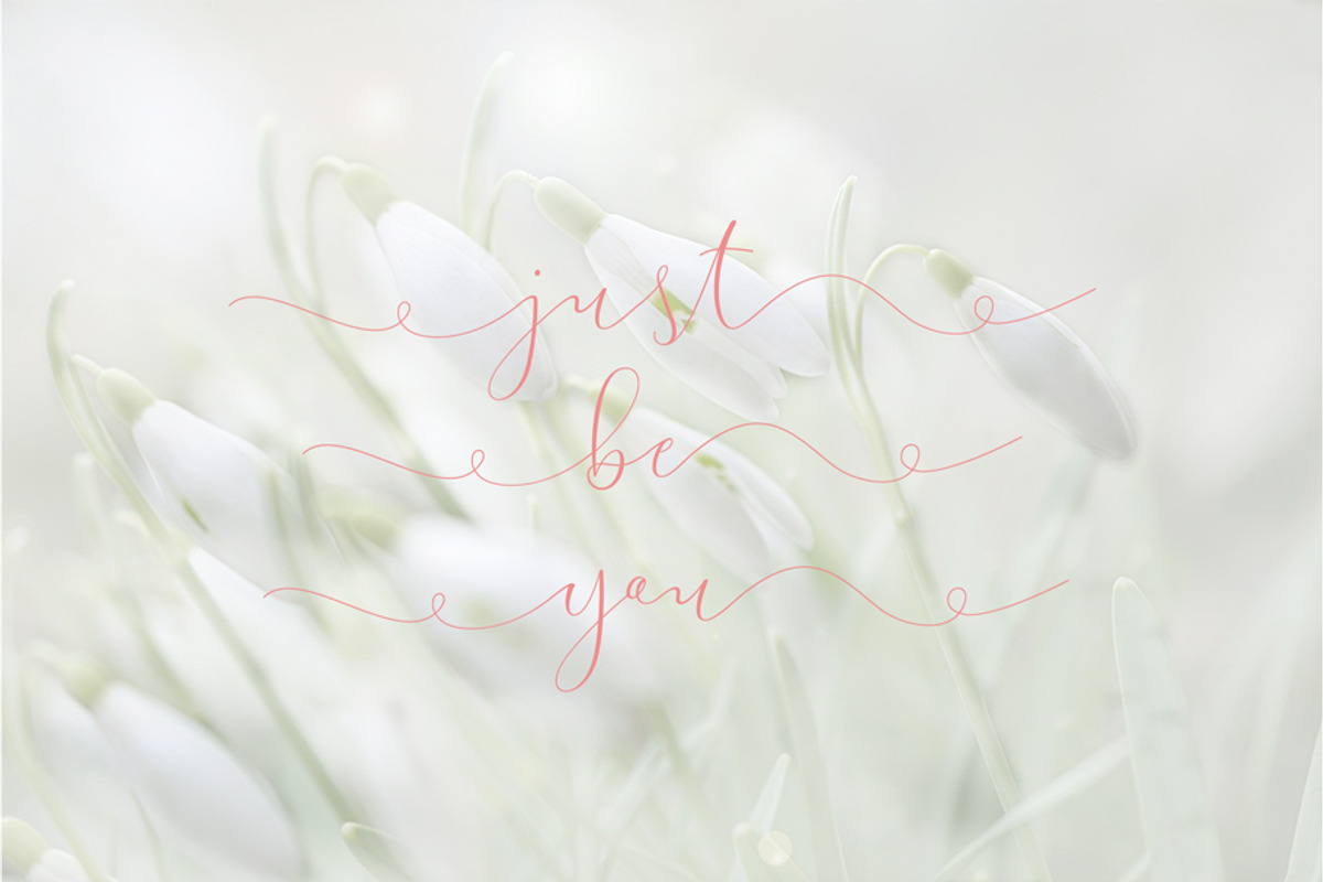 Suins - a script delicate elegant, a Script Font by Fontcastle (Photo 2 of 9)