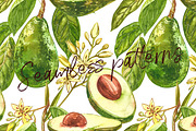 Avocado in botanical style, a Food Illustration by Ann Astro (Thumbnail 8 of 13)