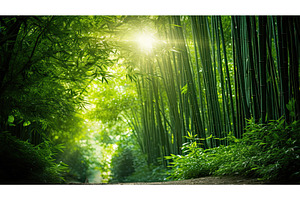 forest summer bamboo ai generated, a Beauty & Fashion Photo by pikepicture