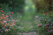 Flower Path Digital Backdrop, a Layer Style Add-On by Wild Honey Design Co. (Thumbnail 2 of 2)