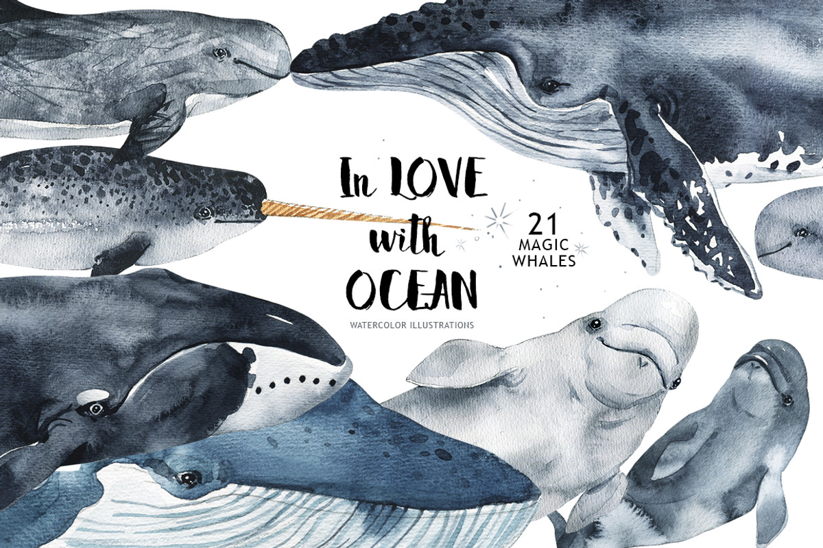 In love with watercolor Ocean, an Animal Illustration by KatBranchArt (Photo 1 of 7)