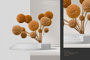 5 Podium with Transparent Background, a Background Graphic by faustudio (Thumbnail 5 of 7)