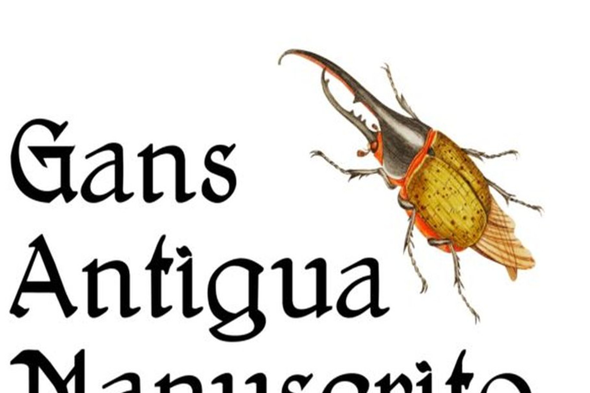 Gans Antigua Manuscrito PACK, a Serif Font by Intellecta Design