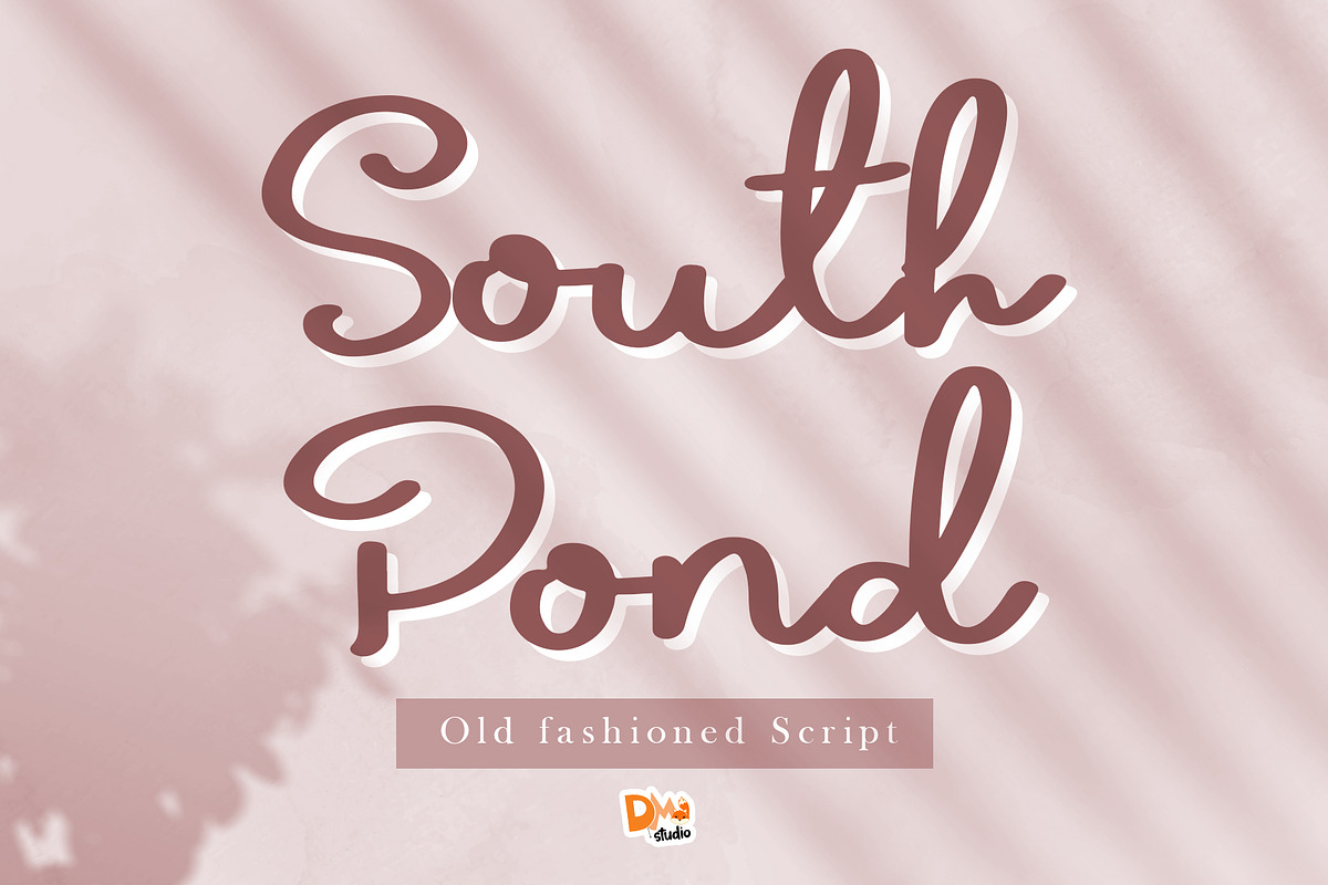 South Pond, a Script Font by Dm Studio (Photo 1 of 6)