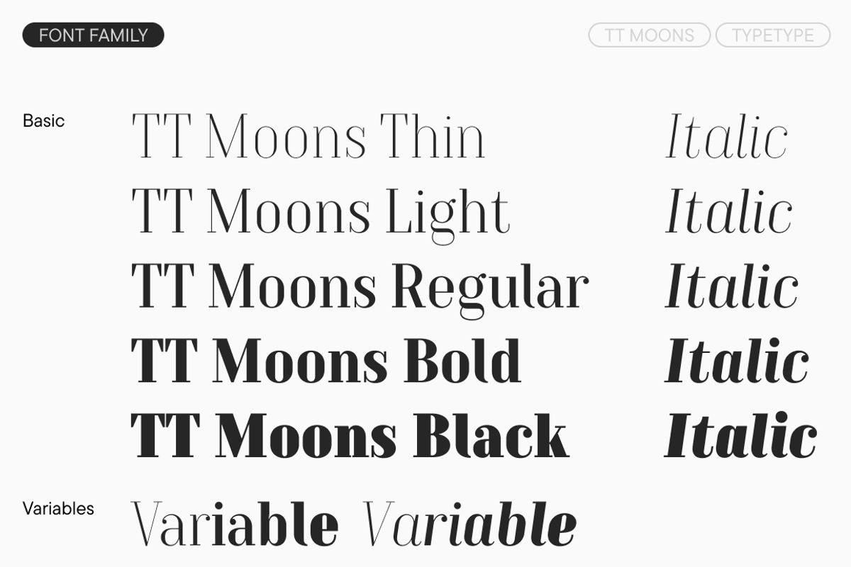 TT Moons, a Serif Font by TypeType (Photo 4 of 12)