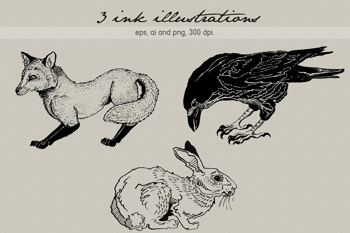 Ink illustrations, an Animal Illustration by Elisa Ursa (Photo 5 of 6)
