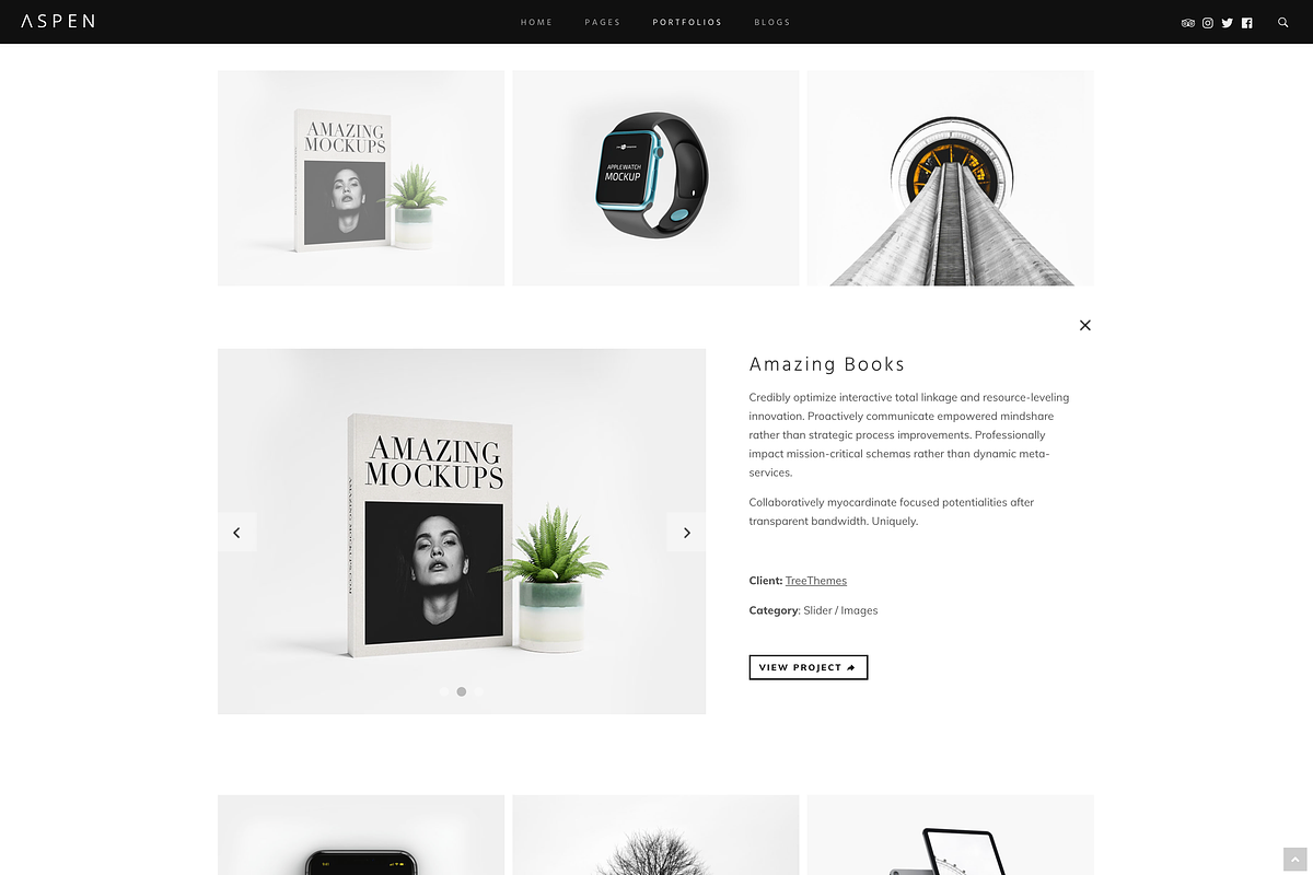 Aspen - Minimalist WordPress Theme, a WordPress Template by treethemes (Photo 6 of 13)