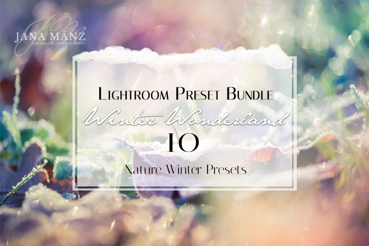 Winter Wonderland Lightroom Preset, a Plug-in Add-On by Jana Mänz Photography (Photo 4 of 8)