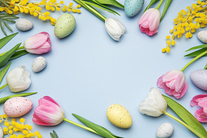 Easter eggs and tulips forming a frame on light blue background, a Photo by Olena Rudo