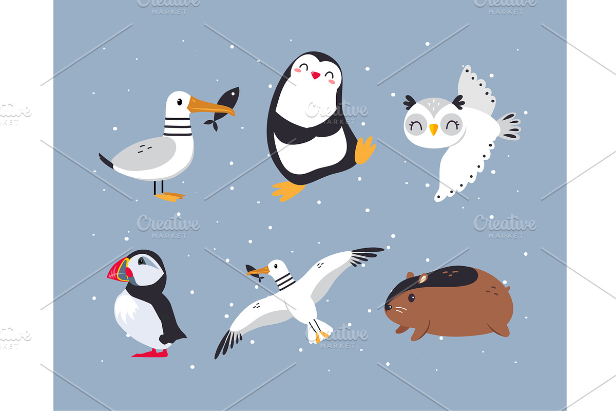 Cute Arctic Animal from Northern, an Animal Illustration by TopVectors