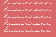 Andalusia a Beautiful Script Font, a Script Font by Lettertype Studio (Thumbnail 7 of 19)