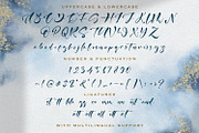 Anasteziya - Calligraphy Font, a Script Font by StringLabs (Thumbnail 9 of 10)