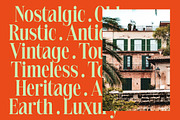 Delivery Feedback Modern Serif, a Serif Font by timelesstype.co (Thumbnail 8 of 20)