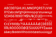 CS Mango – Grotesque Font, a Sans Serif Font by Craft Supply Co. (Thumbnail 8 of 8)