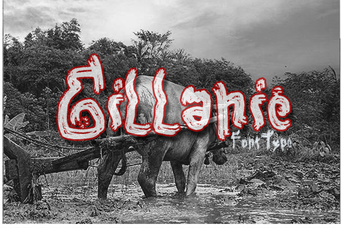 Gillanie preview 5