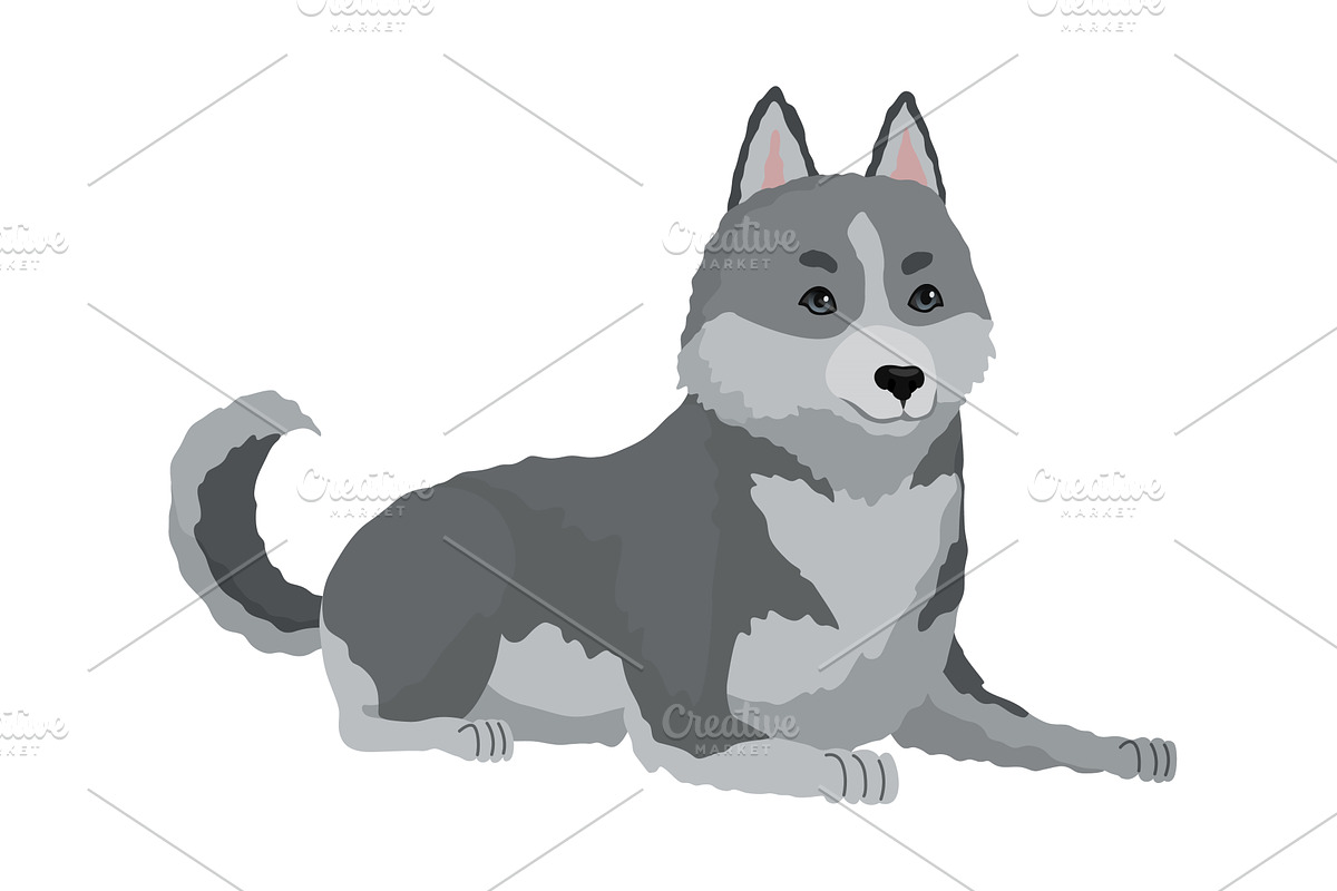 Cute gray wolf pose. Cartoon, an Animal Illustration by the8monkey