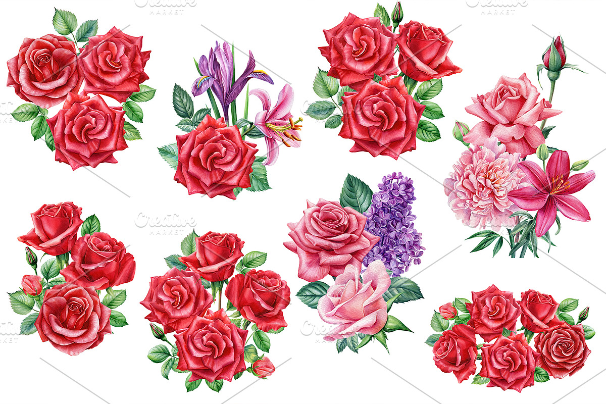 Garden Flowers hand drawn watercolor, a Decorative Illustration by Hanna Hryharenka (Photo 13 of 16)