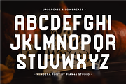 Mindera - Modern Condensed Sans Font, a Sans Serif Font by Pian45 Studio (Thumbnail 4 of 6)