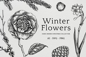 Winter Flowers Christmas Collection, a Seasonal Illustration by Yevheniia