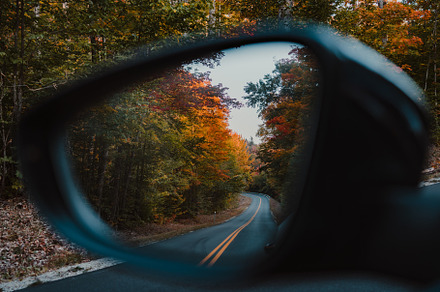 Fall Rearview