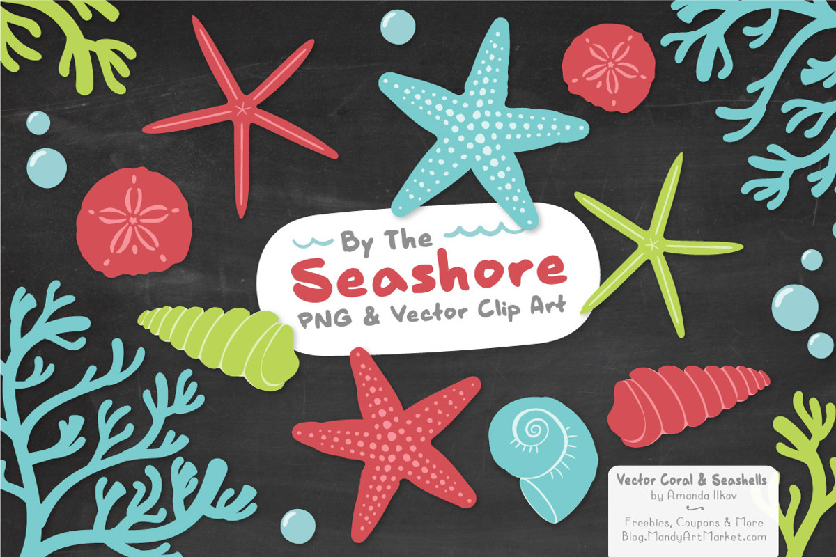 Seashells Clipart in Fresh, an Illustration by Amanda Ilkov (Photo 3 of 5)