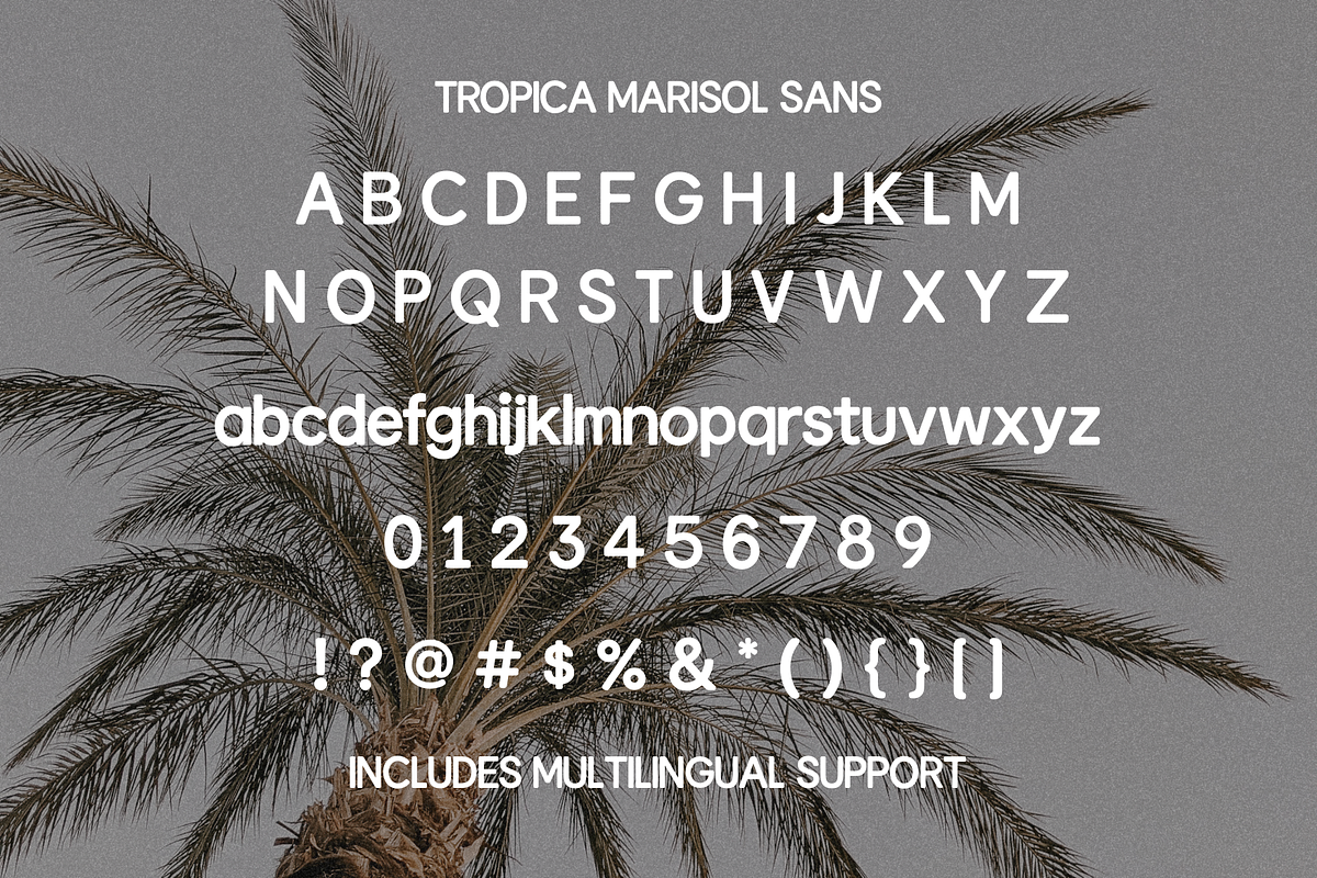 Tropica Marisol – Duo Typeface, a Script Font by Creacy Studio (Photo 9 of 10)