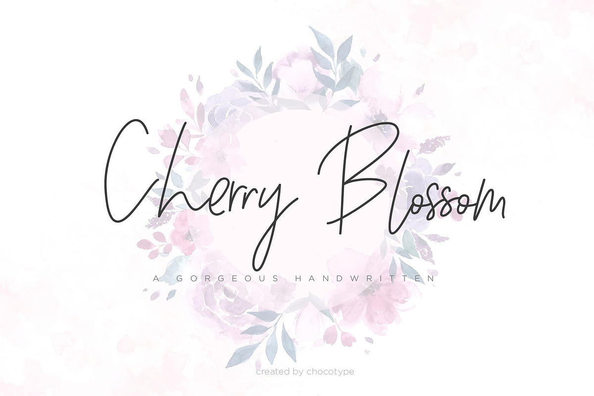 Wonderfull Font Collection, a Script Font by Chocotype Std (Photo 18 of 51)