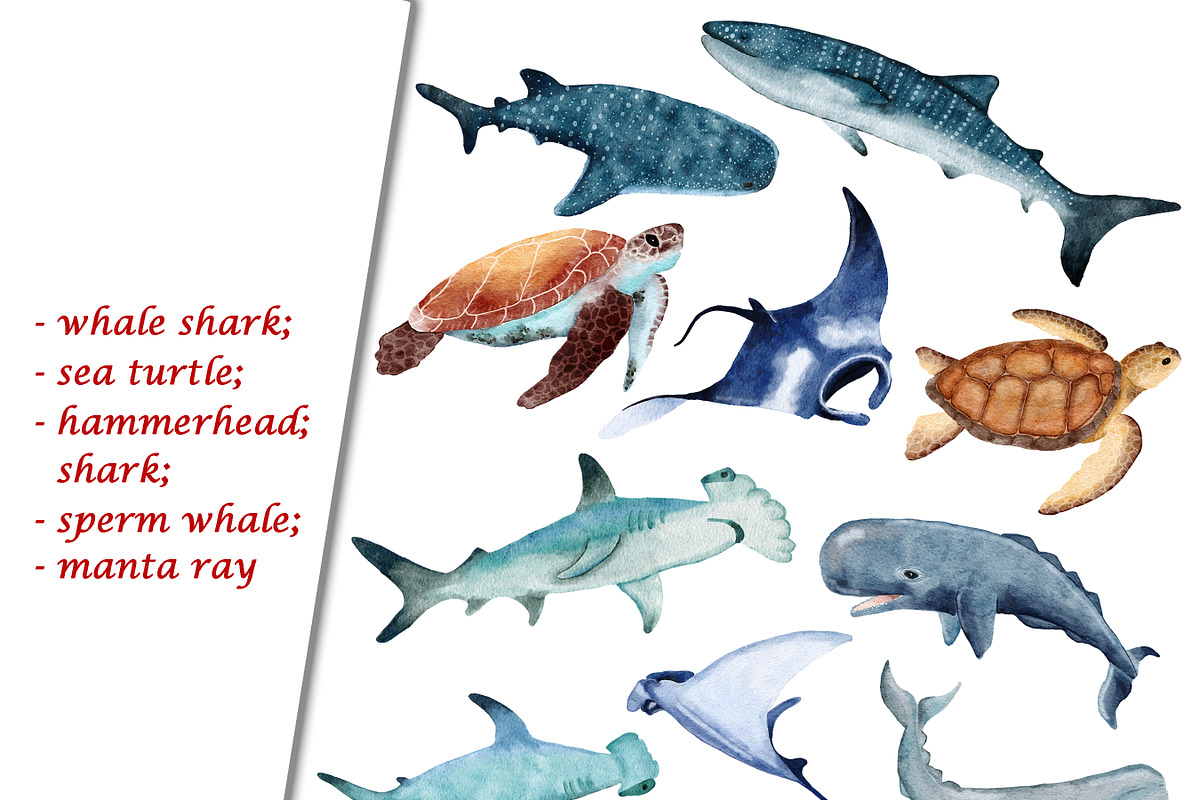 Sea Animals Clipart & Patterns, a Pattern Graphic by Lagmar Design (Photo 9 of 12)