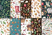 Fall Treasures, an Illustration by Watercolor by Tonia Tkach (Thumbnail 6 of 10)