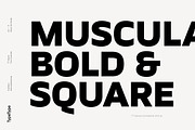 TT Severs, a Sans Serif Font by TypeType (Thumbnail 2 of 10)
