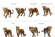 Cheetah Clipart, Wild Cat, Cheetah, an Animal Illustration by BrushstrokeArtGB (Thumbnail 5 of 9)
