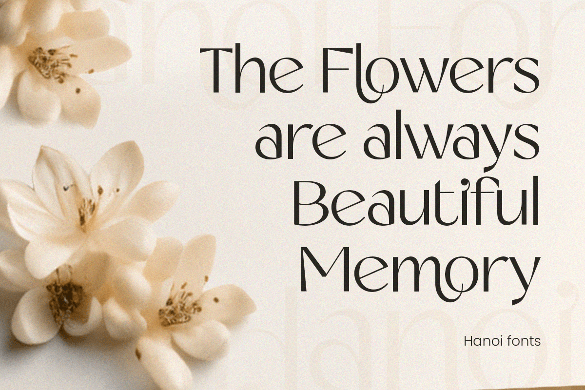 Hanoi - Branding Sans Serif Font, a Sans Serif Font by TokoPress (Photo 4 of 12)
