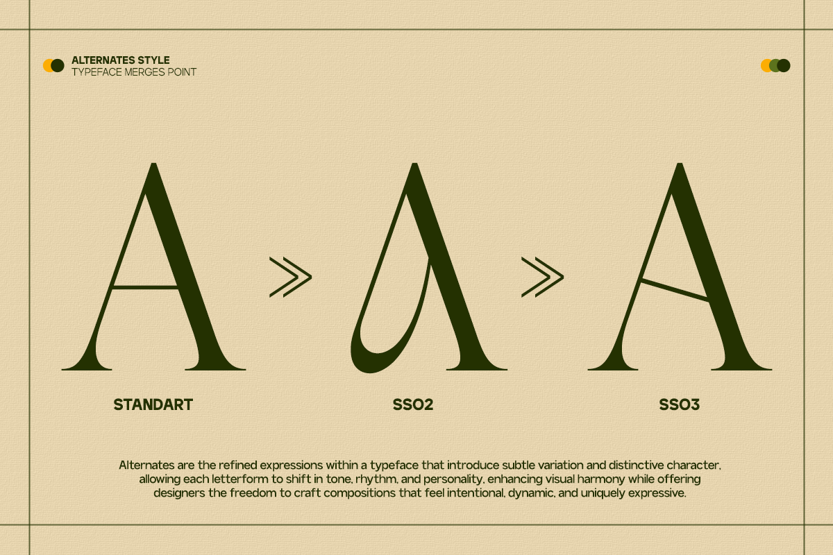 GC Begia - Modern Luxury Typeface, a Serif Font by Glyphonic (Photo 9 of 15)